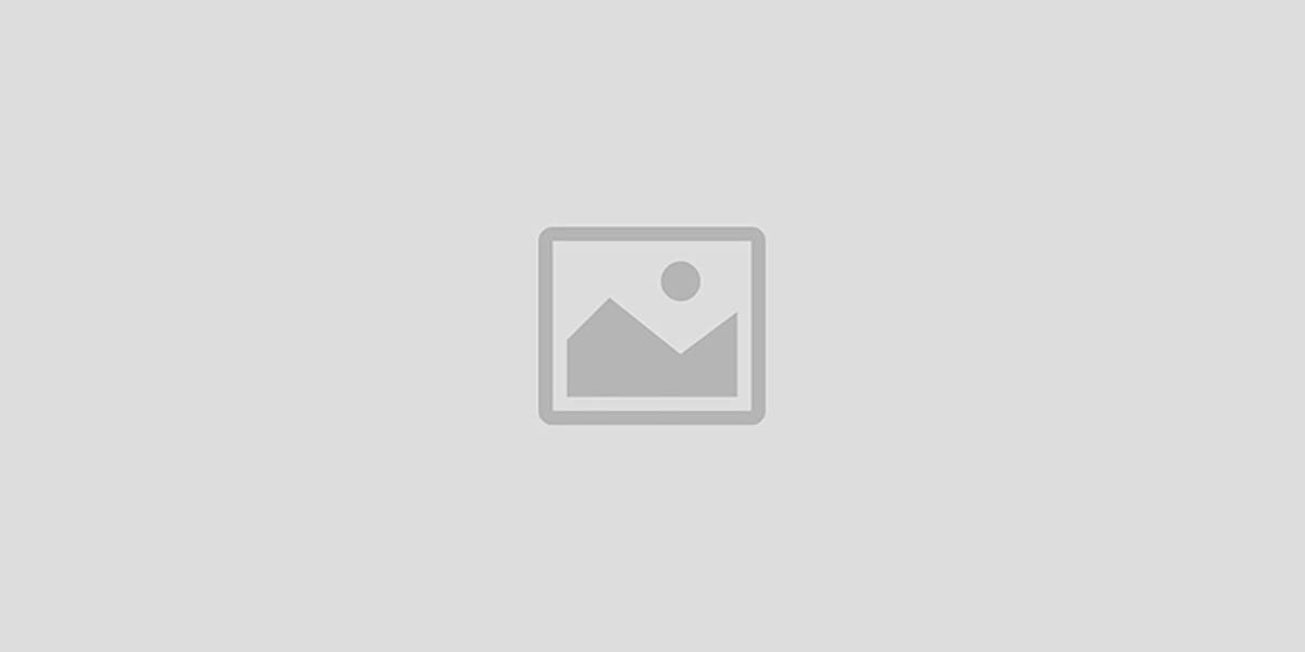 nocnoc shop
